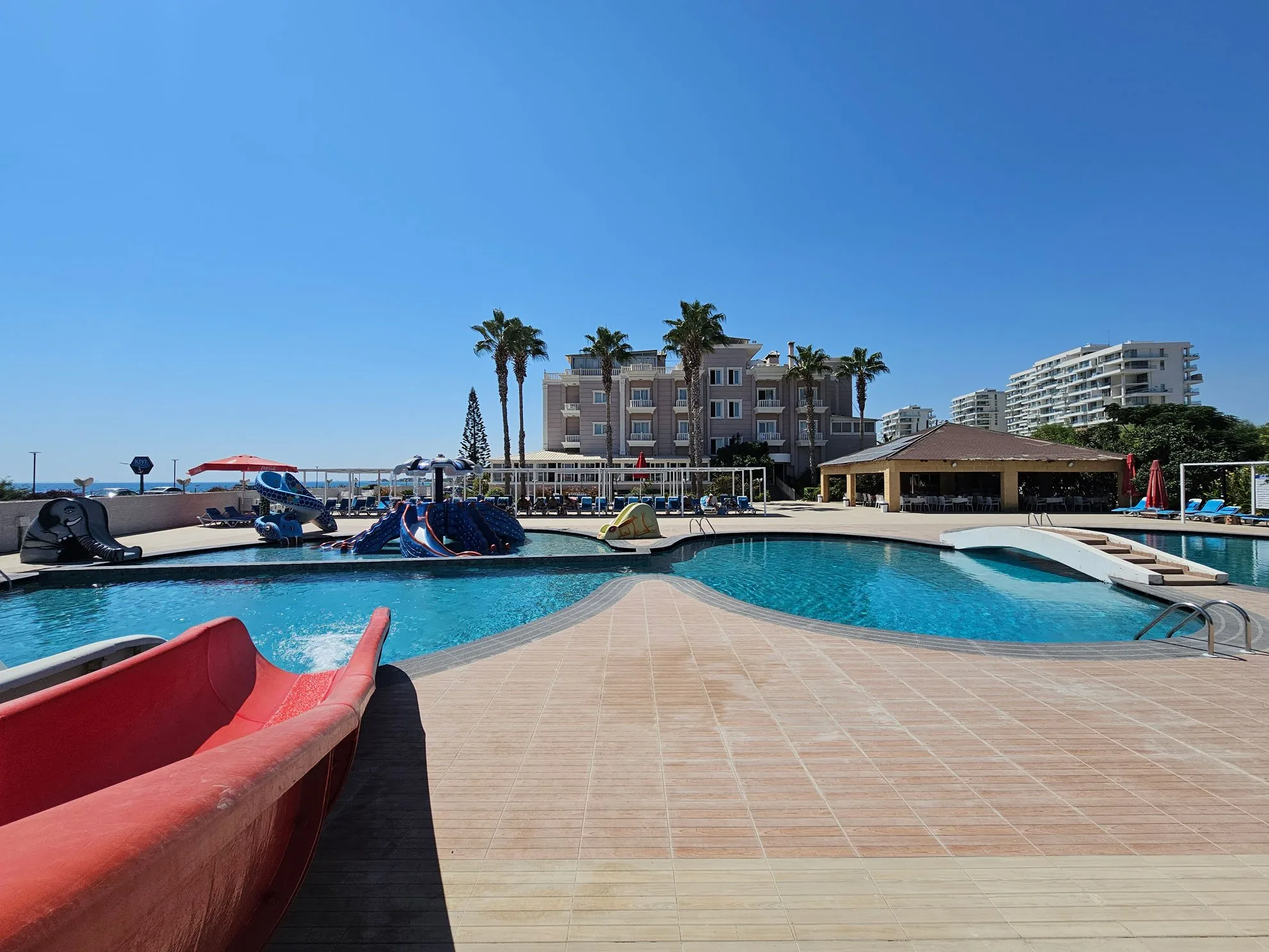 Pool with palm trees